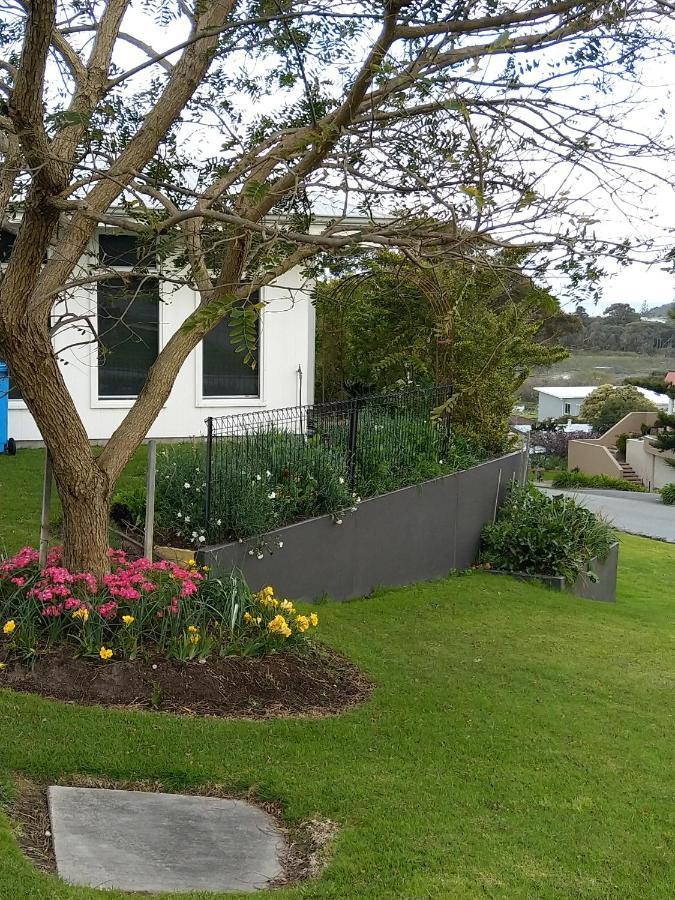 C'Est La Vie Bed & Breakfast Albany Buitenkant foto
